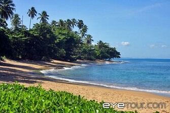Beaches Surfing Hotspots Video Guide Rinc N Puerto Rico