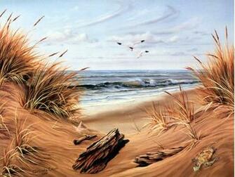 Beach Scenes Screensavers HD Wallpaper Background HDesktops