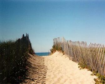 Martha S Vineyard Transient Travels