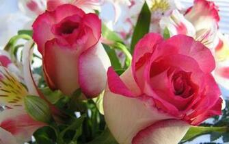 Love Flower Wallpaper