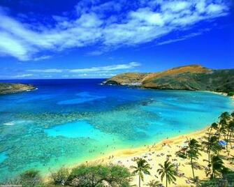 Oahu Hawaii Wallpaper Open Walls