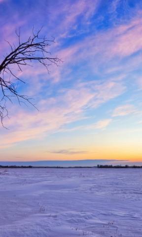 Beautiful Winter Sunset Desktop Pc And Mac Wallpaper