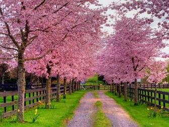 Spring Screensavers Wallpaper