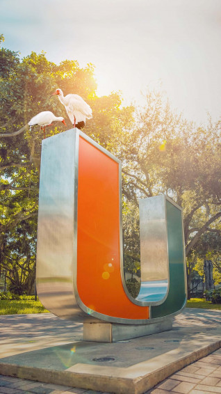University Of Miami Wallpaper