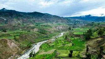 Colca Canyon Pictures Photos And Image Of
