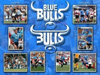 Blue Bulls Wallpaper