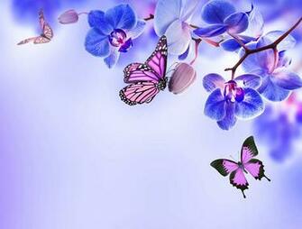 Wallpaper Monarch Butterfly Butterflies Orchid Flowers
