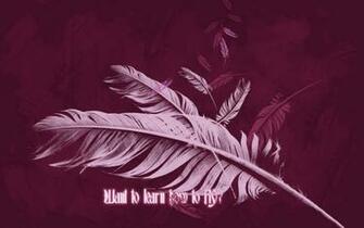 Feather Computer Wallpaper Desktop Background