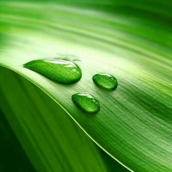 7inch Tablet Pc Wallpaper Apple iPad