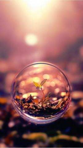 Beautiful 3d Wallpaper iPhone HD