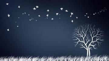Creative Desktop Wallpaper Top
