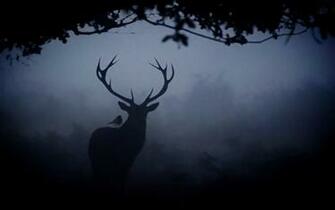 Hannibal Wallpaper