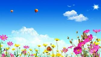 Hot Air Ballons Over Cosmos Flowers Wallpaper