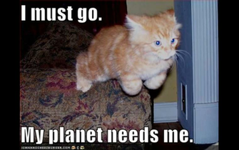 Magical Kitty Lol Cats Photo