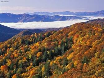 And River Of Fog Great Smoky Mountains National Park North Carolina
