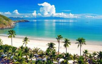 Tropical Beach Wallpaper Desktop Background
