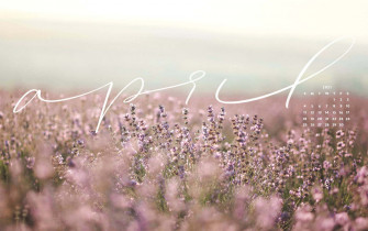 Spring Aesthetic Desktop Wallpaper
