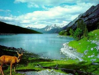 Mountain Wallpaper For Desktop Elegance Collections