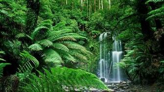 Nature Hledat Googlem Places Destination