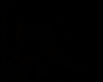 Black Wallpaper Desktop Windows