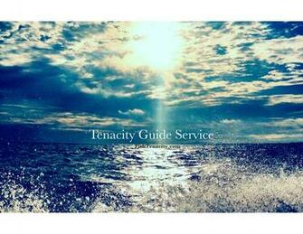 Tenacity Wallpaper S Guide Service