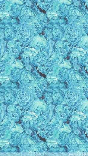 Blue Hydrangeas Wallpaper Installing This Hydrangea