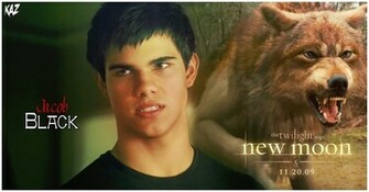 Twilight Series Jacob Black