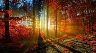 Beautiful Wallpaper Best