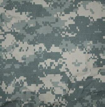 The Army Corrects Its Camouflage And Musings On Mimetics Update