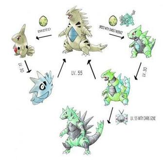 Tyranitar Line Expansion By Darksilvania