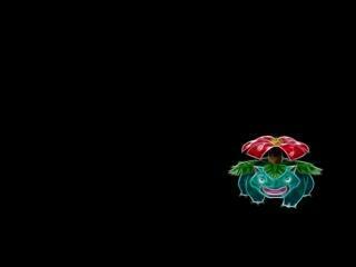 Venusaur Manga Pokemon Anime HD Wallpaper