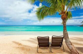 Summer Screensavers
