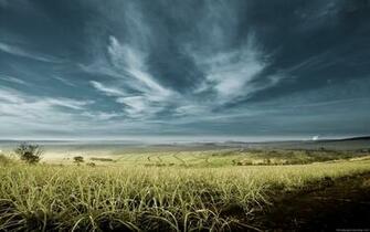 HD Wallpaper Widescreen Desktop Backgronds