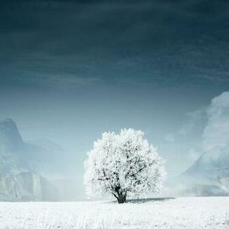 iPad Wallpaper Winter Scenery Natural