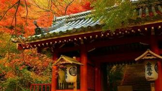 Tiles Nature Trees Forest Autumn Fall Seasons Leaves Color Wallpaper