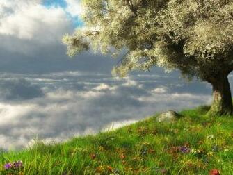 Wallpaper On Your Desktop You Can For The Background By