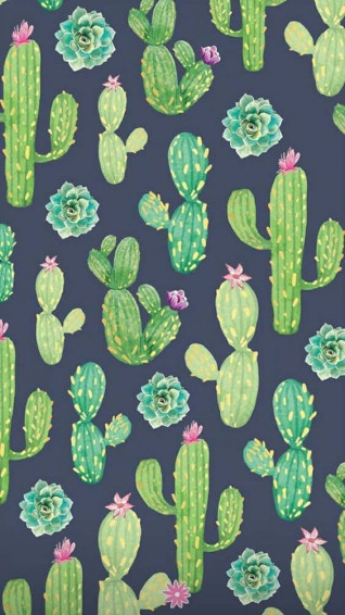 Cactus iPhone Drawing Wallpaper
