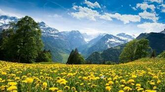 Source Wallpaperf Nature Landscape Wallpaper