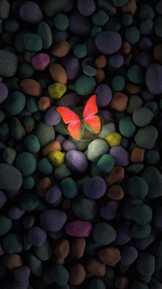 Butterfly Wallpaper For iPhone