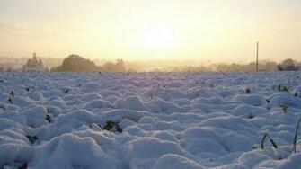Snowy Field HD Wallpaper