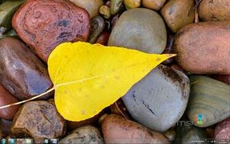 Msn Wallpaper And Screensaver Pack Autumn Baixaki