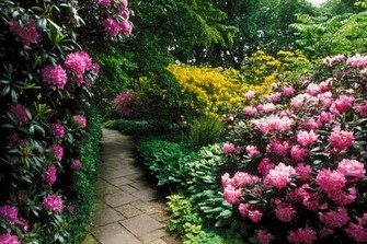 Flower Garden Forest Cool Wallpaper Wonderful
