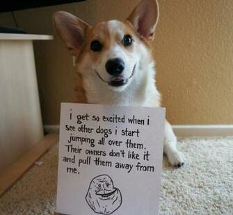 Corgnelius The Corgi Pics