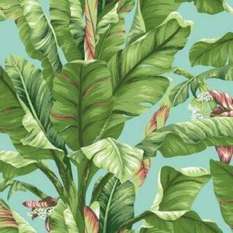 Banana Leaf At7070