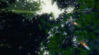 Makoto Shinkai S New Works The Garden Of Words Wallpaper