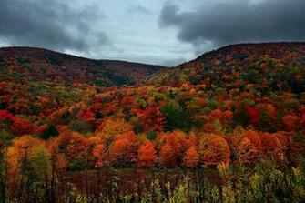 File Autumn Mountain Foliage Virginia Forestwander Jpg Wikimedia