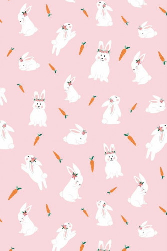 Conejos Y Zanahorias Fondos Para Beb S Fondo De Pantalla