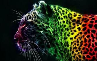 Rainbow Bright Colors Wallpaper