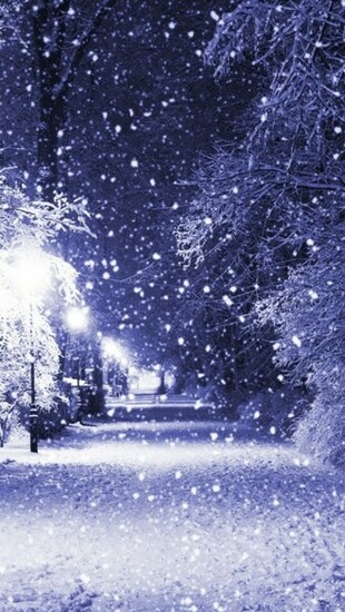 Winter Night Wallpaper