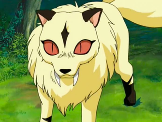 Kirara Inuyasha Fandom